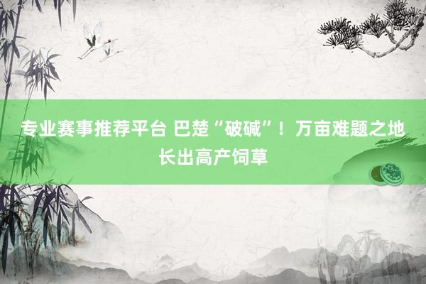 专业赛事推荐平台 巴楚“破碱”！万亩难题之地长出高产饲草