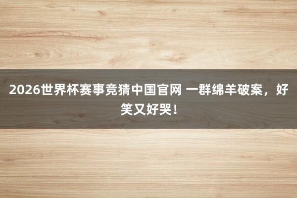 2026世界杯赛事竞猜中国官网 一群绵羊破案，好笑又好哭！