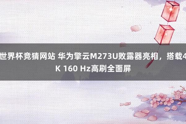 世界杯竞猜网站 华为擎云M273U败露器亮相,搭载4K 160 Hz高刷全面屏