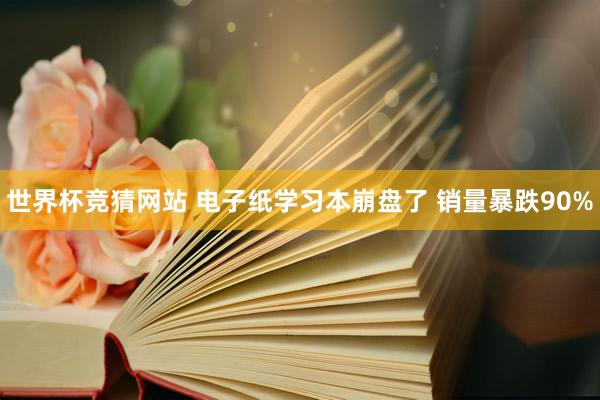世界杯竞猜网站 电子纸学习本崩盘了 销量暴跌90%