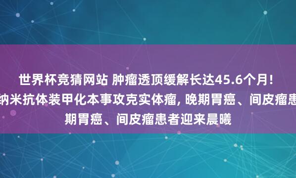 世界杯竞猜网站 肿瘤透顶缓解长达45.6个月! 中国CAR-T纳米抗体装甲化本事攻克实体瘤， 晚期胃癌、间皮瘤患者迎来晨曦