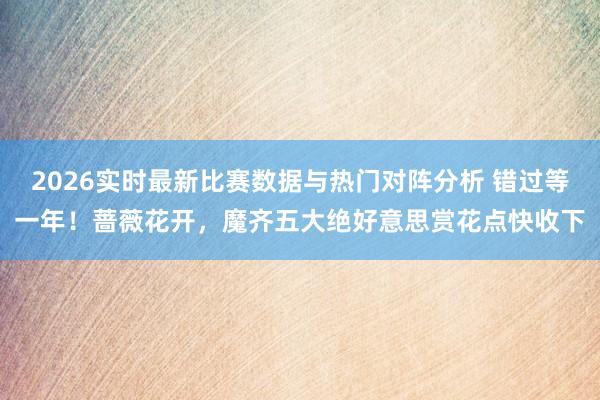 2026实时最新比赛数据与热门对阵分析 错过等一年！蔷薇花开，魔齐五大绝好意思赏花点快收下