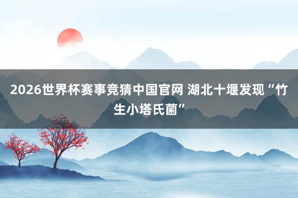 2026世界杯赛事竞猜中国官网 湖北十堰发现“竹生小塔氏菌”