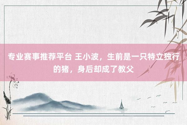 专业赛事推荐平台 王小波，生前是一只特立独行的猪，身后却成了教父