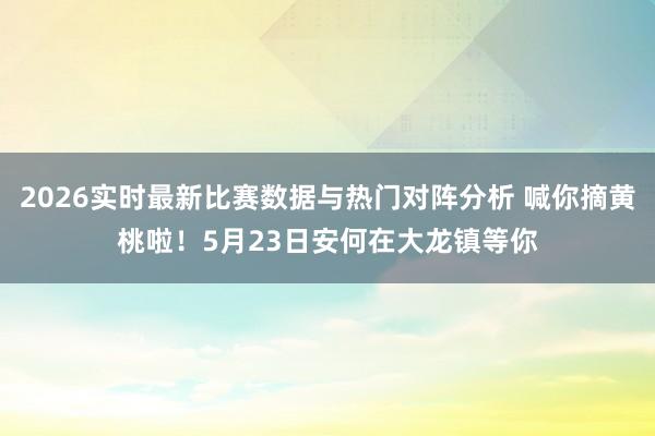 2026实时最新比赛数据与热门对阵分析 喊你摘黄桃啦！5月23日安何在大龙镇等你