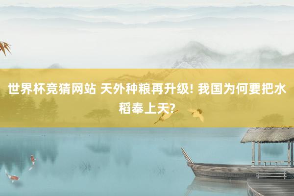 世界杯竞猜网站 天外种粮再升级! 我国为何要把水稻奉上天?