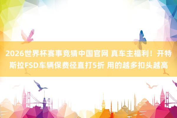 2026世界杯赛事竞猜中国官网 真车主福利！开特斯拉FSD车辆保费径直打5折 用的越多扣头越高