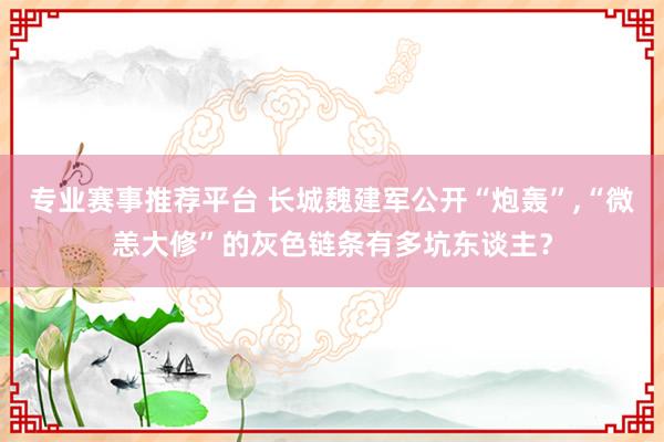 专业赛事推荐平台 长城魏建军公开“炮轰”,“微恙大修”的灰色链条有多坑东谈主?