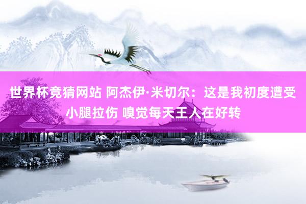 世界杯竞猜网站 阿杰伊·米切尔：这是我初度遭受小腿拉伤 嗅觉每天王人在好转