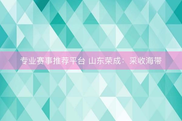 专业赛事推荐平台 山东荣成：采收海带