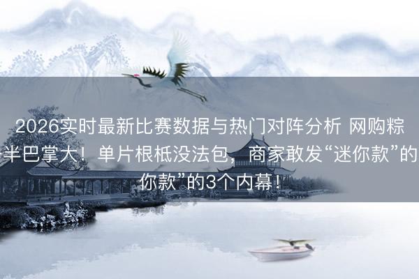 2026实时最新比赛数据与热门对阵分析 网购粽叶缩成一半巴掌大!单片根柢没法包,商家敢发“迷你款”的3个内幕!